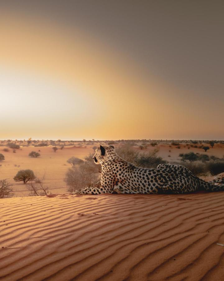 Вилла Bagatelle Kalahari Game Ranch Hardap Экстерьер фото