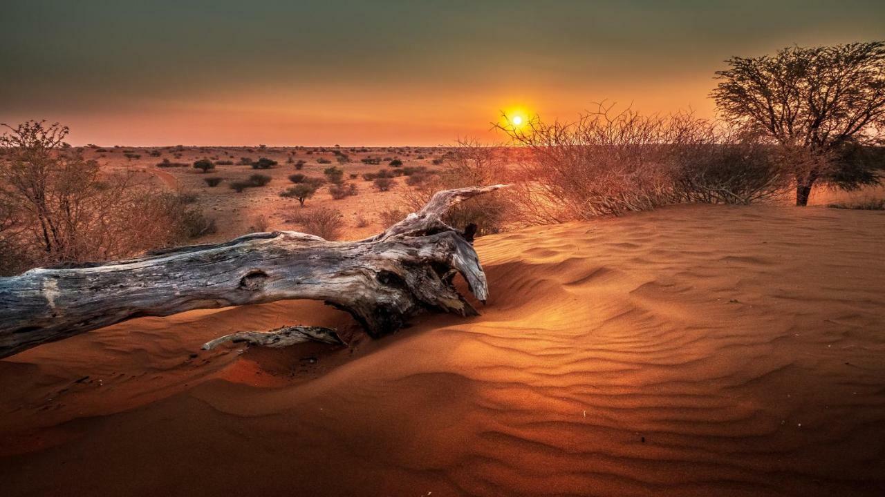 Вилла Bagatelle Kalahari Game Ranch Hardap Экстерьер фото
